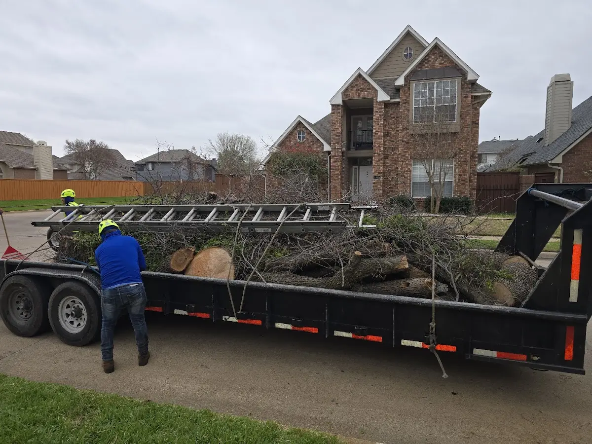 Expert Lot Clearing with proper safety equipment in Olivia
